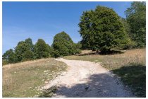 29s  bellissima strada forestale tra le malghe, un pò scassata in certi punti