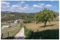 72s  dopo una lunga pausa a San Rocco, nei pressi di una fontanella all'ombra, decido di abbandonare lo scavalco di un'altra dorsale, "mi butto" nel selvaggio e solitario canyon della Pisarota sul cui fondo corre una strada che porta verso Verona