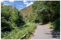 73s  la strada Pisarota, sul fondo di una verde e profonda vallata boscosa, pare la foresta amazzonica