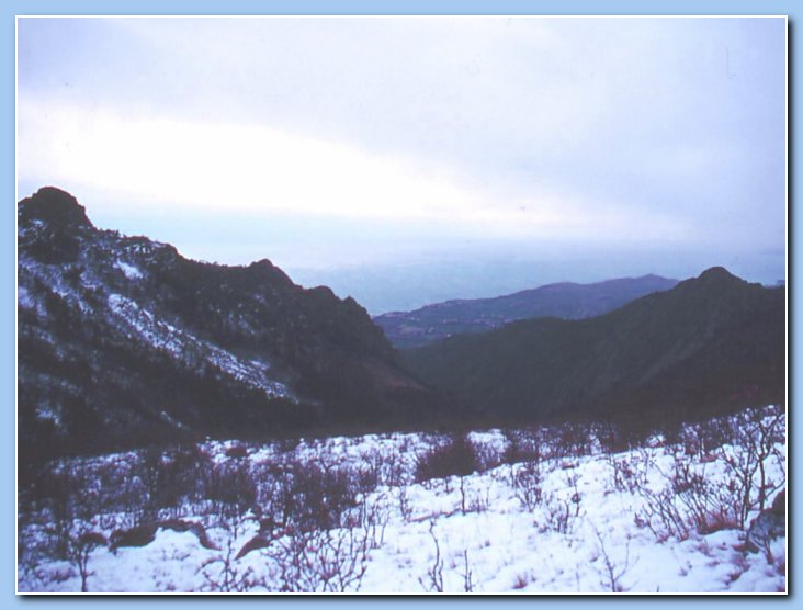 11 liguria