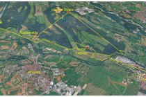 05s  il giretto nel parco della Mandria, caratterizzato da luuunghi rettilinei