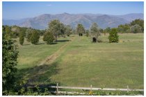 08s  il parco è davvero grande, si estende per 3600 ettari, circa 5 volte il parco di Monza.
