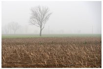 09s  e pensare che il meteo dava due giorni di sole pieno, sereno senza una nuvola