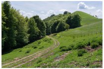 23s  a 100 metri dal passo c'è la stalla dell'alpe Bonello, poco oltre si raggiunge l'alpe Bolla e li parte una bella stradina asfaltata che arriva nel fondovalle dalle parti di Muggio. Quella l'ho fatta almeno due volte, questa volta voglio provare la strada che c'è in foto, è tutta sterrata fino a Cabbio