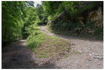24s  con qualche pausa per riposare le braccia, si può fare anche in gravel