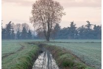 01s  Proseguo con i giretti gelidi nella pianura, questa volta pedalo un anello a est di Milano, tra la Martesana, il canale della Muzza, l'Adda e Pandino.