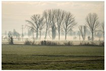 05s  verso le 9 arriva un pò di sole a scaldarmi le mani.... per i piedi ci vorrà ancora del tempo....