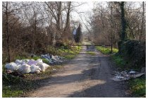 15s  una visione frequente andando in giro per le campagne