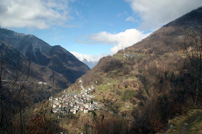 IMG_0007s.jpg