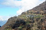 IMG_0006s.jpg