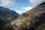 IMG_0007s.jpg