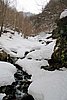 IMG_0009s.jpg