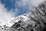 IMG_0010s.jpg