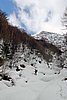 IMG_0014s.jpg