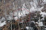 IMG_0017s.jpg