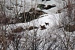 IMG_0020s.jpg