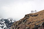 IMG_0025s.jpg