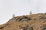 IMG_0034s.jpg