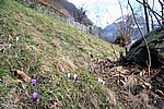 IMG_0045s.jpg