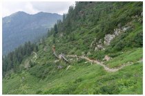 11s  il sentierino che arriva proprio sotto il rifugio Salmurano pasando tra i paravalanghe
