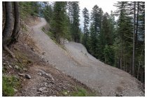 19s  verso valle scopriamo che hanno creato una nuova strada che risale la val Tronella, sarà una di quelle che devastano boschi solo per consentire a quelli con le e bike di divertirsi un pò?