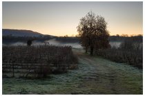 01s  Era da parecchio che mi ero creato un giretto da fare in Franciacorta, è arrivato il momento propizio.... Punto di partenza, lo stesso di   QUESTO   giro lungo l'Oglio, l'altra volta ero andato verso sud, sta volta vado a nord. Con quel bel freddo che ti gela subito le mani inizio a pedalare risalendo il fiume verso il lago d'Iseo