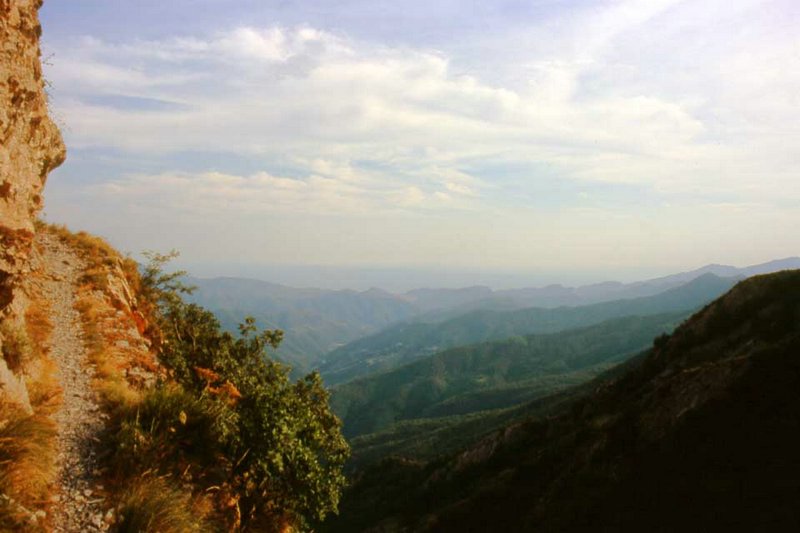 09.jpg