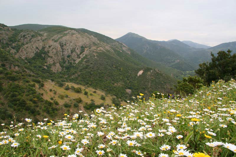 180.jpg