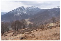 15s  lassù in mezzo la cima Fiorina, salita nel 2012 con Bore, clicca   QUI