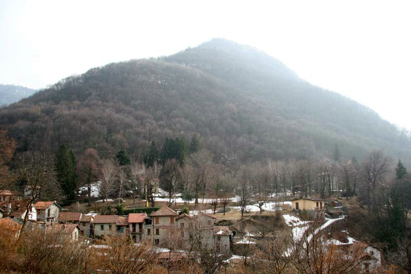 IMG_0013s.jpg