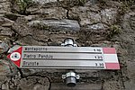 IMG_0001s.jpg