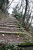IMG_0004s.jpg
