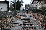 IMG_0017s.jpg