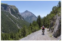 106s  ultimo scatto lungo la strada di Bosco Piano, che ci tiene lontani ancora per un pò dal traffico di auto e moto