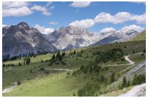 21s  dopo un tratto di sentiero inizia una forestale che scende verso la località Buffalora, lungo la strada tra Zernez e il passo del Forno. Panorama carino direi....
