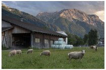 86s  panorama dal campeggio