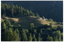 91s  prendiamo quota lungo una bella forestale