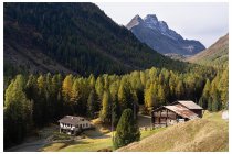 33s  perdiamo circa 450 metri di dislivello, poi nei pressi delle baite Paluetta fortunatamente  iniziamo a risalire la val Viola verso l'omonimo passo, ci siamo congelati scendendo nell'ombra della bassa val Verva! In lontananza il Corno di Dosdè spruzzato di neve (3232m)