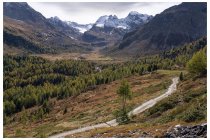 35s  la conca del rifugio Dosdè, sullo sfondo le cime di Lago Spalmo, tra i 3270 e i 3350 e la cima Viola, 3374 metri.