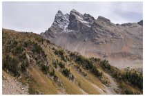 45s  sempre il corno di Dosdè, ma dalla val di Campo, sembra che ha cambiato "fisionomia"