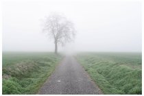 03s  partenza umidissima, non fa molto freddo in realtà ma la giacchetta è tutta bagnata a causa della nebbia, mi scendono le gocce dal casco tanto è umido. Per fortuna pedalo lungo la ciclabile e non rischio di essere falciato da qualche automobilista distratto