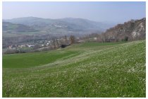 27s  prati fioriti scendendo verso Ponte Nizza