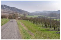 32s  in val Curone è giusto una toccata e fuga, ne costeggio velocemente i meleti e poi riprendo a salire nuovamente per scollinare in valle Staffora leggermente più a nord