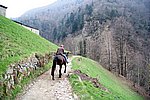 IMG_0133s.jpg