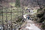 IMG_0135s.jpg